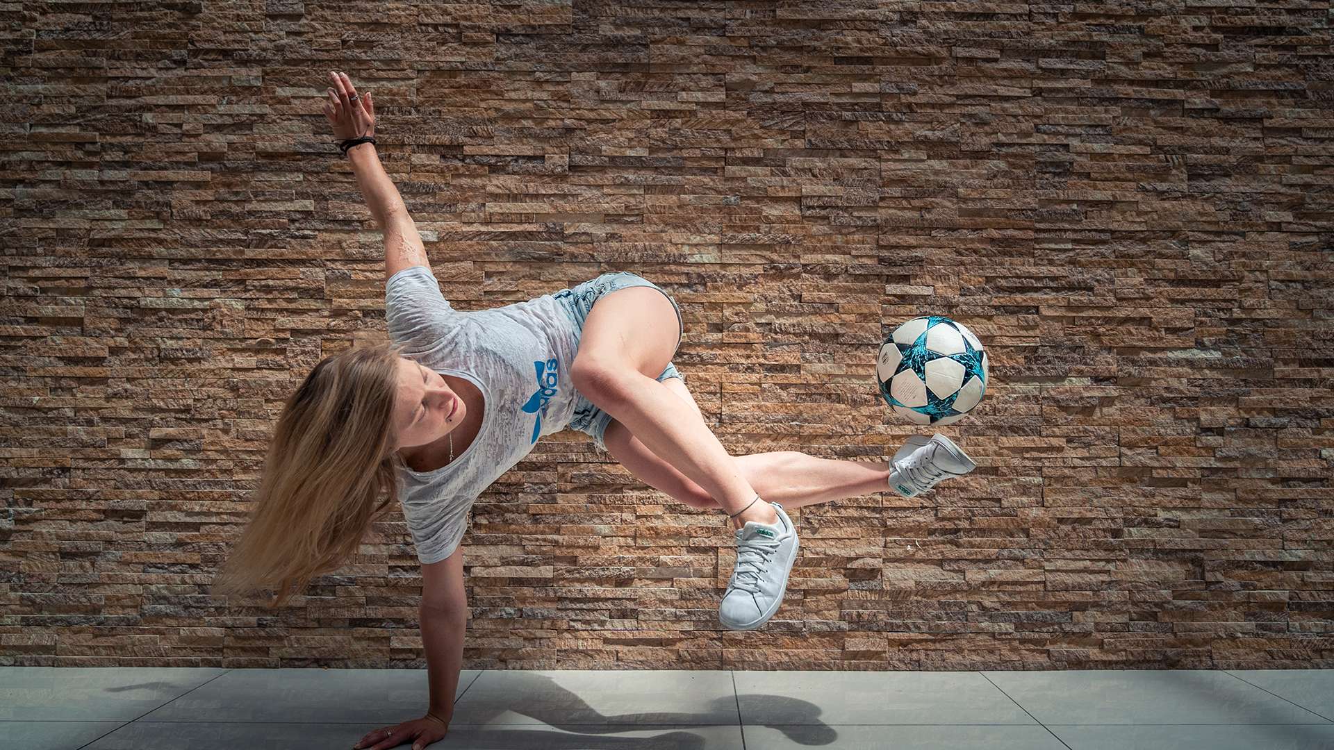 它不仅展示 它不仅展示