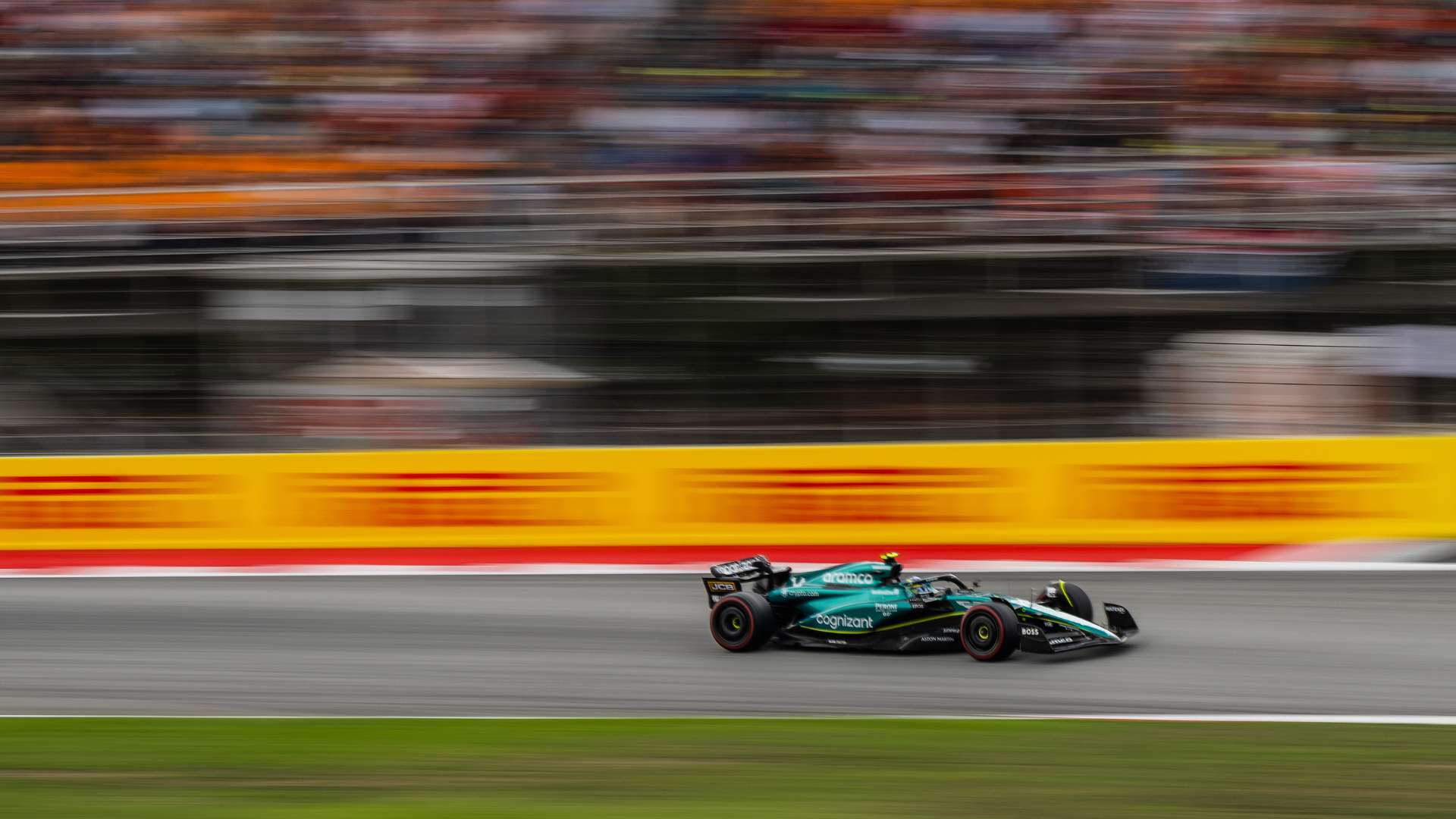 伺机抓住皇 伺机抓住皇